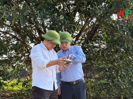 Phòng Kinh tế tiếp tục sử dụng flycam kiểm tra công tác sử dụng đất và trật tự xây dựng trên địa bàn