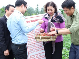 ĐOÀN LÃNH ĐẠO XÃ CỔ ĐÔ THAM QUAN MỘT SỐ MÔ HÌNH SẢN XUẤT NÔNG NGHIỆP TRÊN ĐỊA BÀN