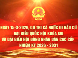 05 video tuyên truyền trực quan tìm hiểu các quy định pháp luật về Bầu cử