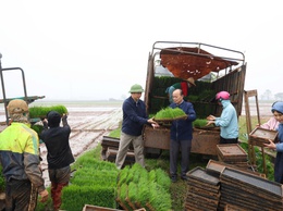 Đồng chí Phó Chủ tịch UBND xã kiểm tra, động viên sản xuất vụ xuân