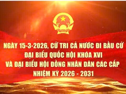 05 video tuyên truyền pháp luật về bầu cử