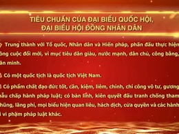 Tiêu chuẩn đại biểu Quốc hội, đại biểu Hội đồng nhân dân