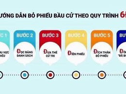 HƯỚNG DẪN QUY TRÌNH BỎ PHIẾU BẨU CỬ