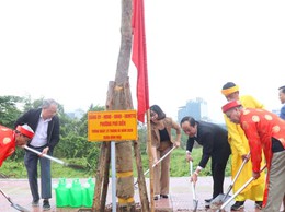 Phú Diễn phấn đấu trồng 1.500 cây xanh