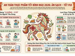 Đảo đảm an toàn thực phẩm(ATTP), phòng ngừa Ngộ độc thực phẩm(NĐTP) trong dịp tết Nguyên đán, Lễ Hội Xuân Bính Ngọ 2026