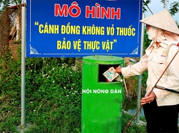 Báo động tình trạng vứt vỏ bao bì thuốc BVTV bừa bãi: Mối nguy hại khôn lường cho sức khỏe và môi trường