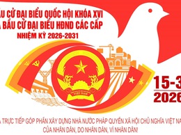 ĐƠN VỊ BẦU CỬ SỐ 02 XÃ HÒA XÁ 
DANH SÁCH CHÍNH THỨC NHỮNG NGƯỜI ỨNG CỬ ĐẠI BIỂU HỘI ĐỒNG NHÂN DÂN XÃ HÒA XÁ KHOÁ II, NHIỆM KỲ 2026-2031