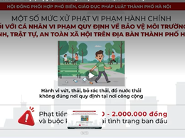Video: Một số mức xử phạt vi phạm hành chính đối với cá nhân vi phạm quy định về bảo vệ môi trường an ninh, trật tự, an toàn xã hội trên địa bàn thành phố Hà Nội
