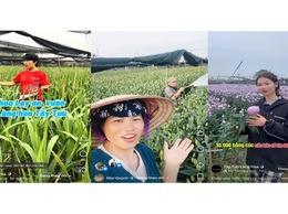 Tây Tựu: Phát triển nông nghiệp gắn với ứng dụng công nghệ, mở rộng thị trường