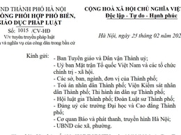 V/v tuyên truyền pháp luật về quyền và nghĩa vụ của công dân trong bầu cử