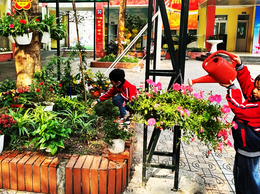 Thầy và trò Trường Tiểu học Hoàng Liệt tích cực tham gia Lễ phát động “Tết trồng cây đời đời nhớ ơn Bác Hồ” Xuân Bính Ngọ 2026 