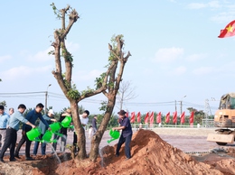 Lãnh đạo xã Minh Châu ra quân trồng cây đầu xuân 2026 tại khu vực Chợ Minh Châu.