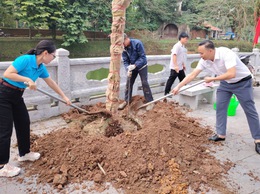 PHƯỜNG SƠN TÂY ĐỒNG LOẠT RA QUÂN TRỒNG, CHĂM SÓC CÂY XANH VÀ VỆ SINH MÔI TRƯỜNG