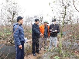 UBND xã Hồng Vân tuyên truyền về đơn giá bồi thường, hỗ trợ di chuyển mồ mả khi Nhà nước thu hồi đất năm 2026 (Dự án khu đô thị thể thao Olympic)