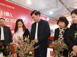 Phường Tương Mai khai mạc Chợ hoa Xuân Bính Ngọ