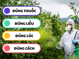 Trung tâm Dịch vụ tổng hợp xã Ứng Hòa hướng dẫn cách sử dụng thuốc BVTV an toàn hiệu quả cho sản xuất nông nghiệp