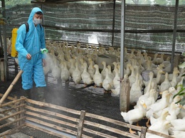 Xã Hồng Vân vệ sinh, khử trùng, tiêu độc môi trường phòng chống dịch bệnh cho gia súc gia cầm