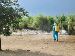 UBND xã Hồng Vân triển khai tổng vệ sinh, khử trùng, tiêu độc môi trường phòng, chống dịch bệnh gia súc, gia cầm đợt 1 dịp Tết Nguyên đán Bính Ngọ năm 2026.