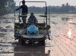 Xã Hòa Xá đẩy nhanh tiến độ gieo cấy lúa Xuân năm 2026