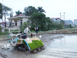 HỘI CỰU CHIẾN BINH XÃ ỨNG HÒA ĐẨY MẠNH ỨNG DỤNG CƠ GIỚI HÓA TRONG SẢN XUẤT NÔNG NGHIỆP.