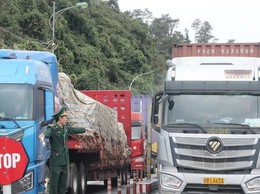 Tạm dừng áp dụng Nghị định 46 về an toàn thực phẩm đến hết ngày 15-4-2026