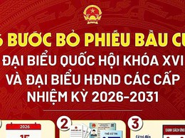 Quy trình 6 bước bỏ phiếu bầu cử