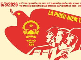 NGÀY 15/3/2026 - NGÀY HỘI LỚN CỦA TOÀN DÂN