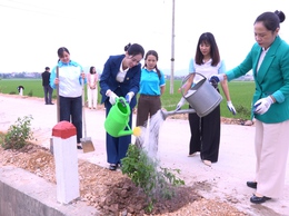 Hội LHPN xã Vân Đình ra quân trồng 350 cây xanh trên tuyến đường Man Xi