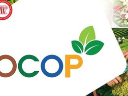 Giới thiệu các sản phẩm OCOP trên địa bàn phường Giảng Võ