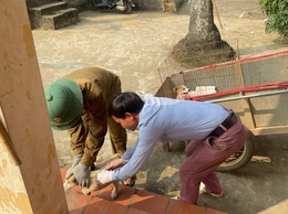 Chủ động giám sát tình hình bệnh dại trên người