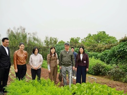 Chi cục Trồng trọt và Bảo vệ thực vật Hà Nội kiểm tra tình hình sản xuất nông nghiệp tại xã Hồng Vân  