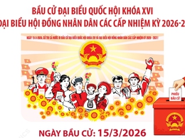 Bầu cử Quốc hội và HĐND các cấp: Cả nước có gần 79 triệu cử tri sẽ tham gia bỏ phiếu
