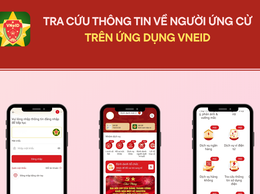 Cách tra cứu thông tin về người ứng cử đại biểu Quốc hội và Hội đồng nhân dân trên VNeID