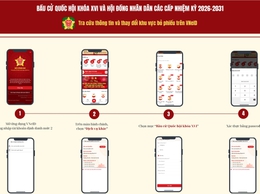 Cách tra cứu thông tin và thay đổi khu vực bỏ phiếu trên VNeID