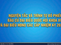 Nguyên tắc và trình tự bỏ phiếu đại biểu Quốc hội khóa XVI và đại biểu HĐND các cấp nhiệm kỳ 2026-2031