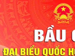 THÔNG BÁO KHU VỰC BỎ PHIẾU TRÊN ĐỊA BÀN PHƯỜNG LĨNH NAM