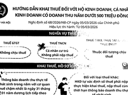 Hướng dẫn khai thuế đối với hộ kinh doanh, cá nhân kinh doanh có doanh thu năm dưới 500 triệu đồng