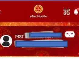 Hướng dẫn cập nhật thông tin đăng ký thuế trên Etax Mobile