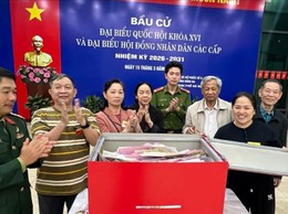 Hà Nội: 99,46% cử tri tham gia bỏ phiếu tính đến 19h