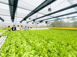 UBND xã Phúc Lộc làm việc với Sở Nông nghiệp và Môi trường về rà soát hiện trạng sản xuất rau