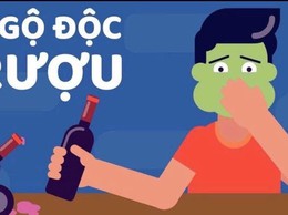 CẢNH BÁO NGỘ ĐỘC RƯỢU – ĐỪNG ĐÁNH ĐỔI SỨC KHỎE!
