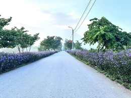 XÃ BA VÌ THỰC HIỆN LẤY Ý KIẾN NHÂN DÂN VỀ QUY HOẠCH TỔNG THỂ THỦ ĐÔ HÀ NỘI TẦM NHÌN 100 NĂM