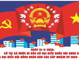 Các mốc thời gian SAU NGÀY BẦU CỬ ĐBQH khóa XVI, đại biểu HĐND các cấp nhiệm kỳ 2026-2031