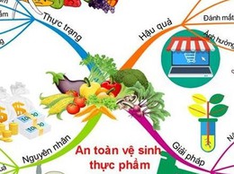 Đảm bảo vệ sinh An toàn thực phẩm trong dịp Lễ hội Xuân năm Bính Ngọ