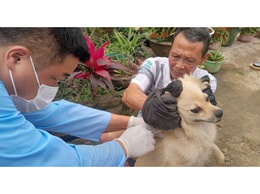 Chủ động kiểm soát dịch bệnh- Từ 2/3 Hòa Lạc tiêm phòng dại diện rộng cho đàn chó, mèo tại thôn 6 và thôn 8
