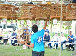 SÔI NỔI HỘI THI 