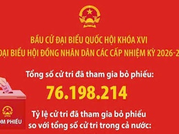 Thống kê số liệu bầu cử đại biểu Quốc hội khóa XVI và đại biểu HĐND các cấp nhiệm kỳ 2026-2031