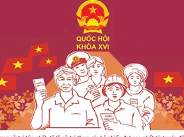 Kết quả bầu cử đại biểu Quốc hội khóa XVI