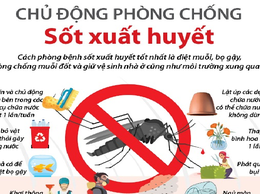 Gia Lâm triển khai 5 đợt cao điểm vệ sinh môi trường phòng, chống sốt xuất huyết năm 2026