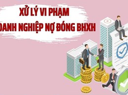 Tình hình nợ đọng BHXH, BHYT, BHTN tháng 02 năm 2026